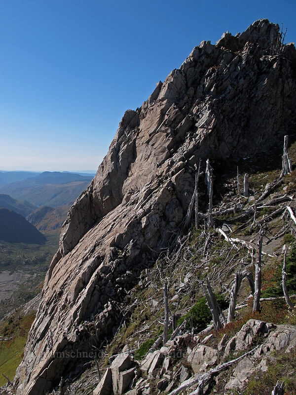 south face of Mt. Whittier [Mt. Whittier Trail, Mt. St. Helens National Volcanic Monument, Skamania County, Washington]