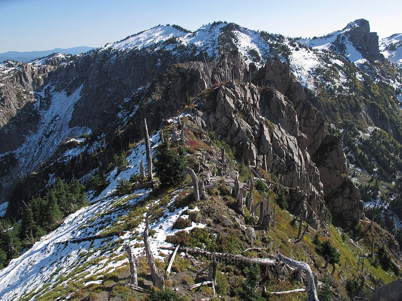 eastern end of Whittier Ridge [Mt. Whittier Trail, Mt. St. Helens National Volcanic Monument, Skamania County, Washington]