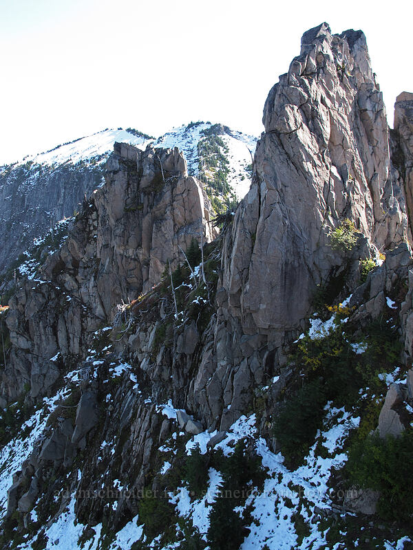 Whittier Ridge pinnacles [Mt. Whittier Trail, Mt. St. Helens National Volcanic Monument, Skamania County, Washington]