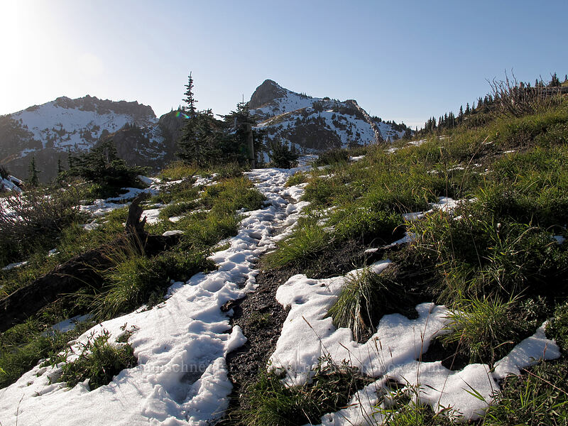 Mt. Margaret & Mt. Teragram [Boundary Trail, Mt. St. Helens National Volcanic Monument, Skamania County, Washington]