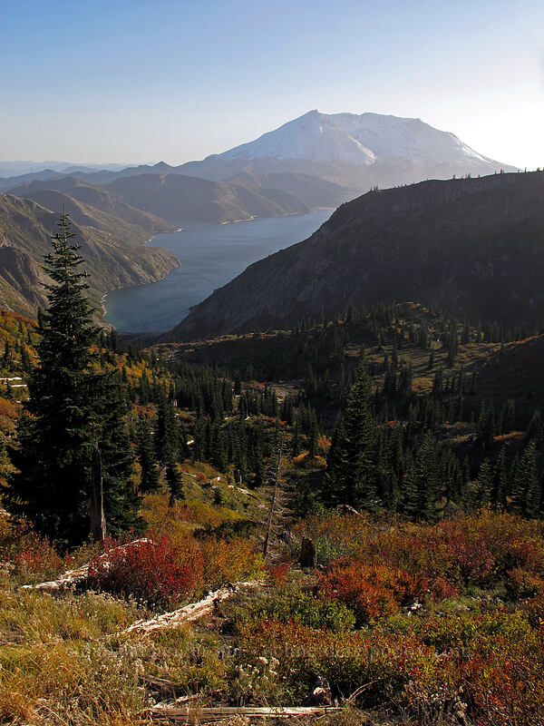 Mt. St. Helens & Spirit Lake [Boundary Trail, Mt. St. Helens National Volcanic Monument, Skamania County, Washington]