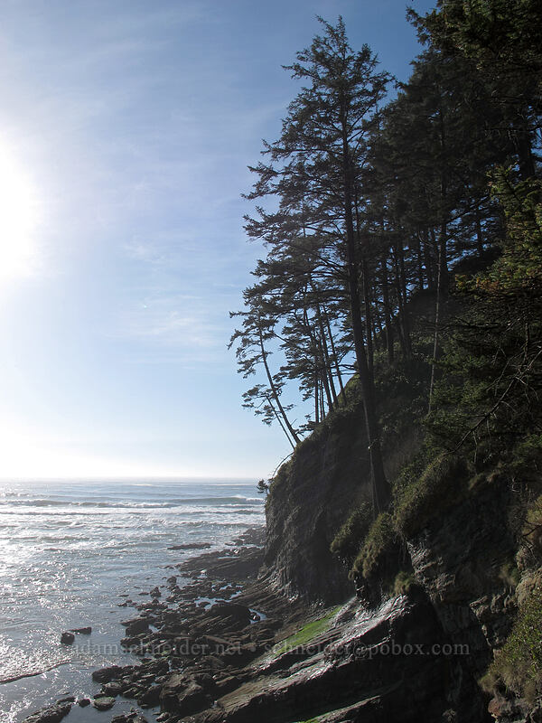 shoreline [Cape Falcon, Oswald West State Park, Tillamook County, Oregon]