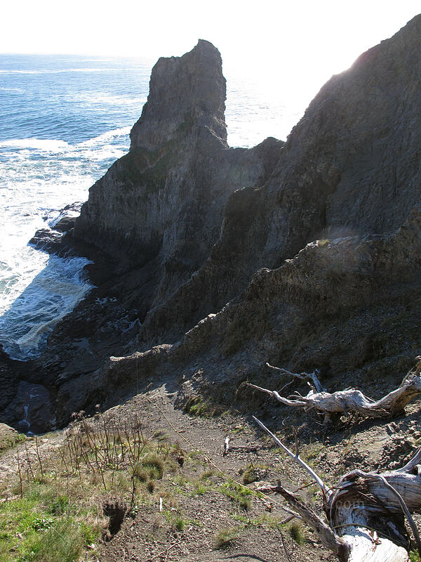 rocky headlands [Cape Falcon, Oswald West State Park, Tillamook County, Oregon]