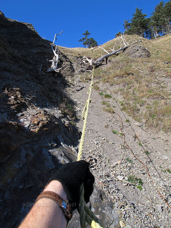 rope down to the water [Cape Falcon, Oswald West State Park, Tillamook County, Oregon]