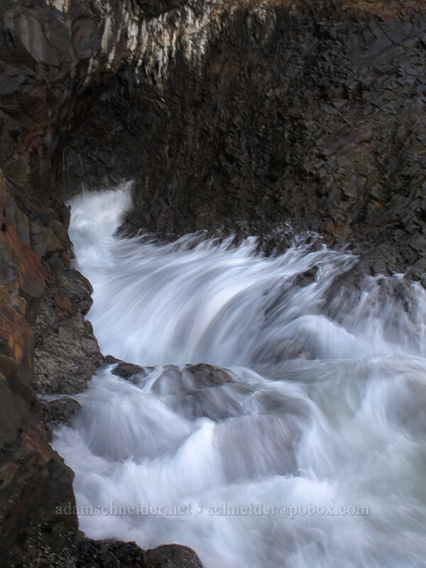 blowhole [Cape Falcon, Oswald West State Park, Tillamook County, Oregon]