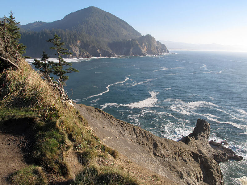 rocky headlands [Cape Falcon Trail, Oswald West State Park, Tillamook County, Oregon]