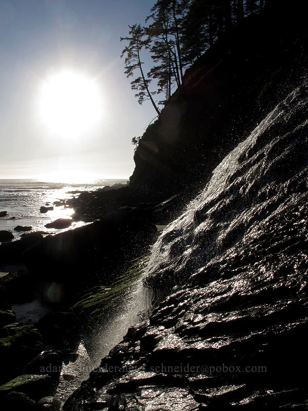 Blumenthal Falls [Cape Falcon, Oswald West State Park, Tillamook County, Oregon]
