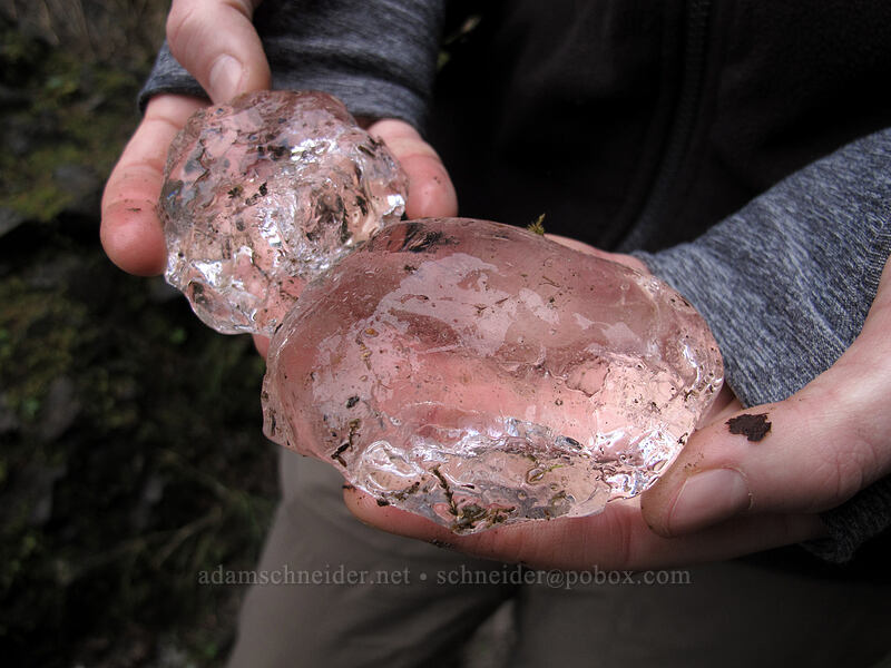 ice [Tanner Creek Valley, Columbia River Gorge, Multnomah County, Oregon]