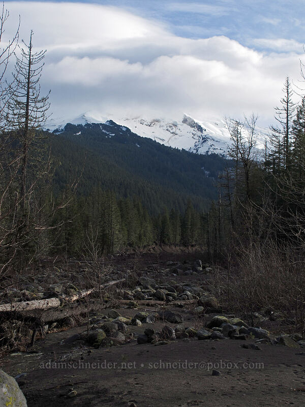 Mount Hood [Sandy River Trail, Mt. Hood National Forest, Clackamas County, Oregon]