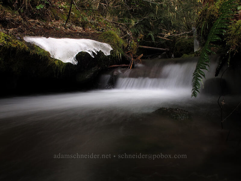 ice and flowing water [Ramona Falls Trail, Mt. Hood Wilderness, Clackamas County, Oregon]