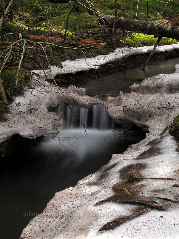 snow bridge & flowing water [Ramona Falls Trail, Mt. Hood Wilderness, Clackamas County, Oregon]