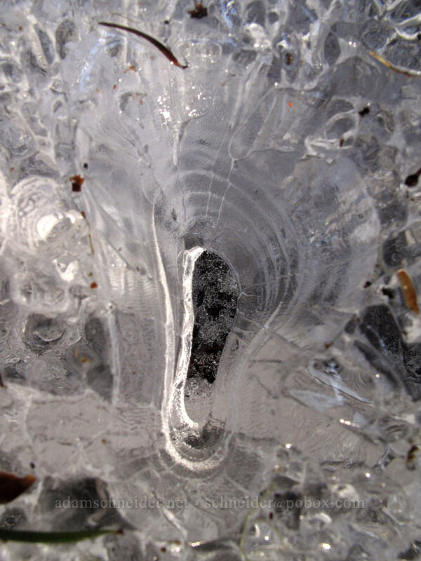 hole in the ice [Sandy River Trail, Mt. Hood National Forest, Clackamas County, Oregon]