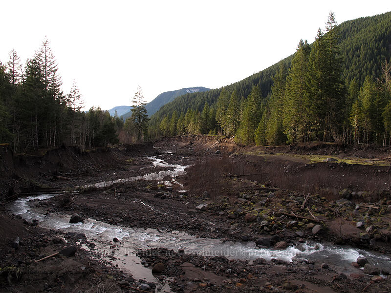 Sandy River [Sandy River Trail, Mt. Hood National Forest, Clackamas County, Oregon]