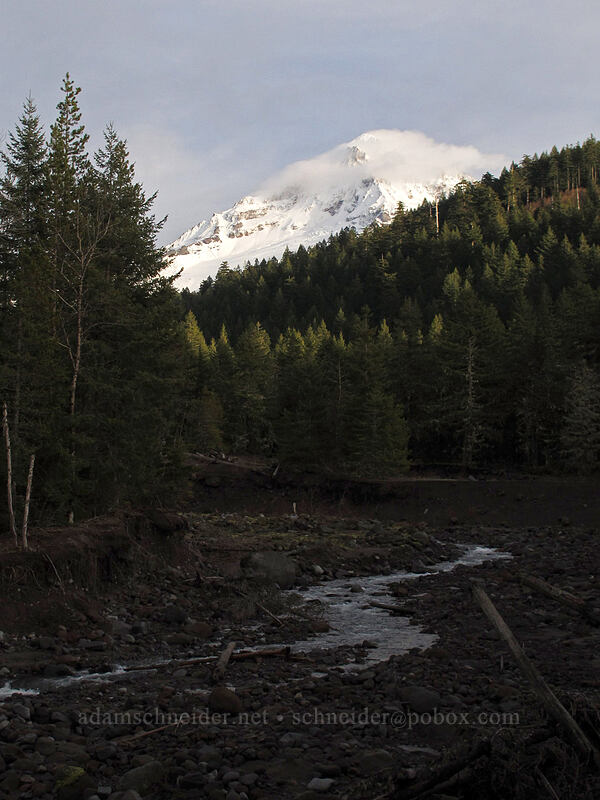 Mount Hood & the Sandy River [Sandy River Trail, Mt. Hood National Forest, Clackamas County, Oregon]