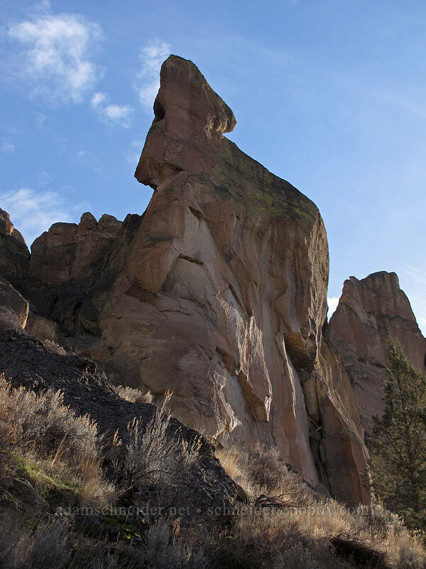 Snake Rock [River Trail, Smith Rock State Park, Deschutes County, Oregon]