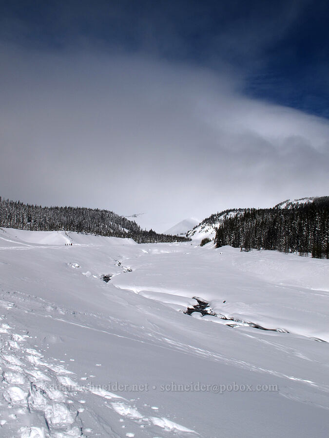 view toward Mt. Hood [White River Canyon, Mt. Hood National Forest, Hood River County, Oregon]