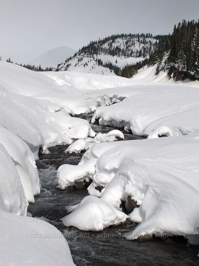 White River [White River Canyon, Mt. Hood National Forest, Hood River County, Oregon]