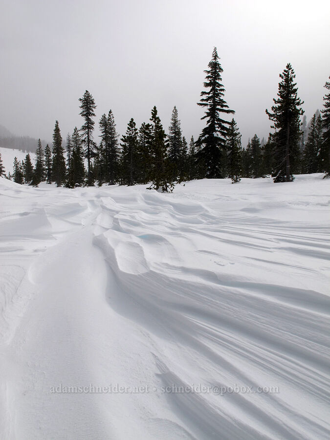 wind-sculpted snow [White River Canyon, Mt. Hood National Forest, Hood River County, Oregon]