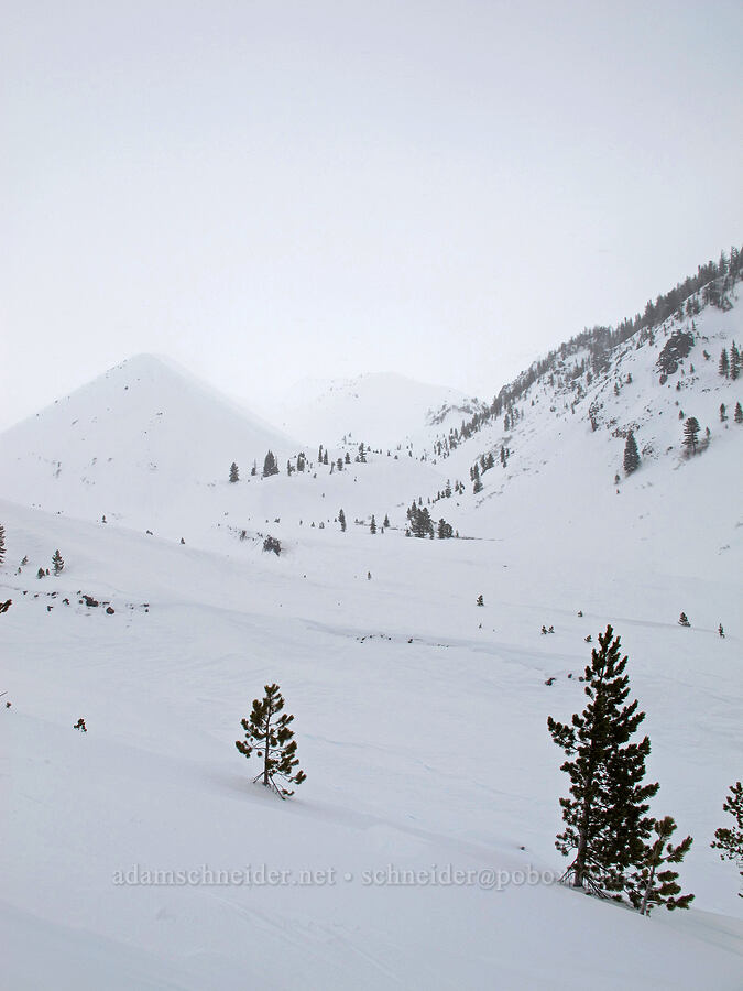 ghostly ridges [White River Canyon, Mt. Hood National Forest, Hood River County, Oregon]