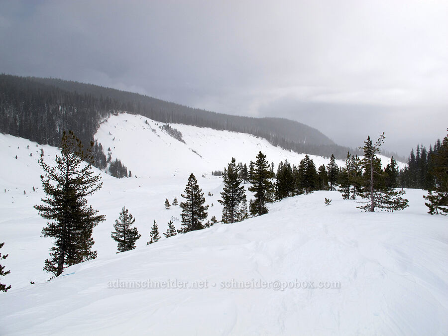 White River Canyon [White River Canyon, Mt. Hood National Forest, Hood River County, Oregon]