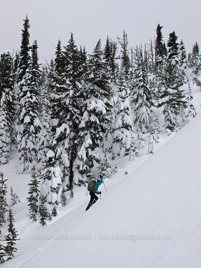 climbing the gully [White River Canyon, Mt. Hood National Forest, Hood River County, Oregon]