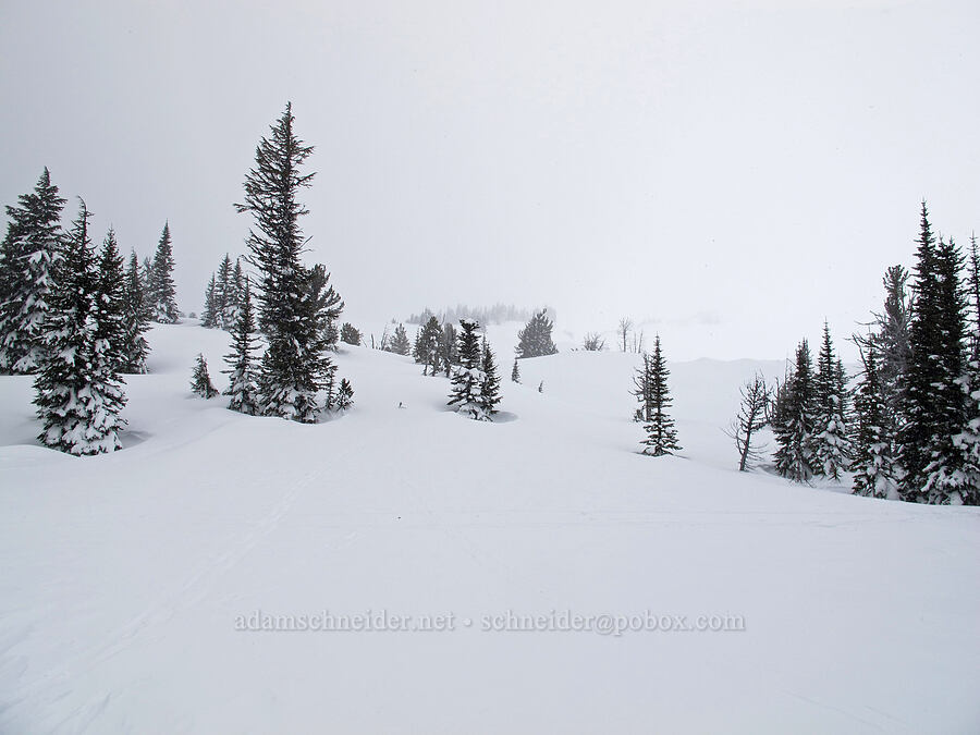 NOT a glorious view of Mt. Hood [Pacific Crest Trail, Mt. Hood National Forest, Hood River County, Oregon]