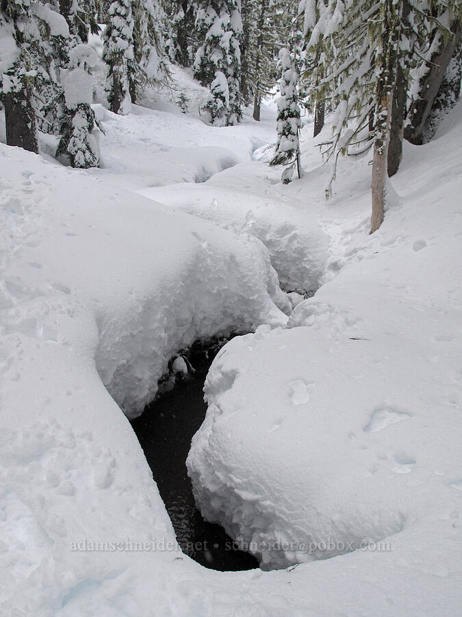 South Fork Mineral Creek [Boy Scout Ridge, Mt. Hood National Forest, Hood River County, Oregon]