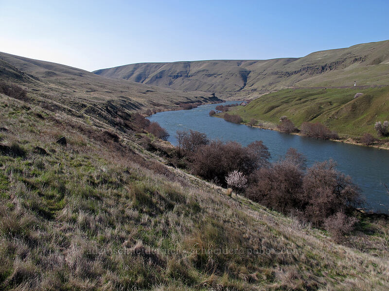 Deschutes River [Riverview Trail, Deschutes River State Recreation Area, Sherman County, Oregon]