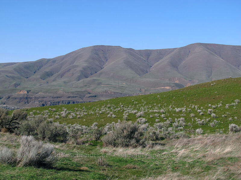 sagebrush & Columbia Hills [Old Moody Road, Wasco County, Oregon]