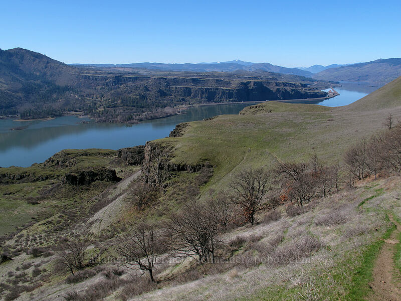McCall Point & Rowena Plateau [Lyle Cherry Orchard Trail, Klickitat County, Washington]