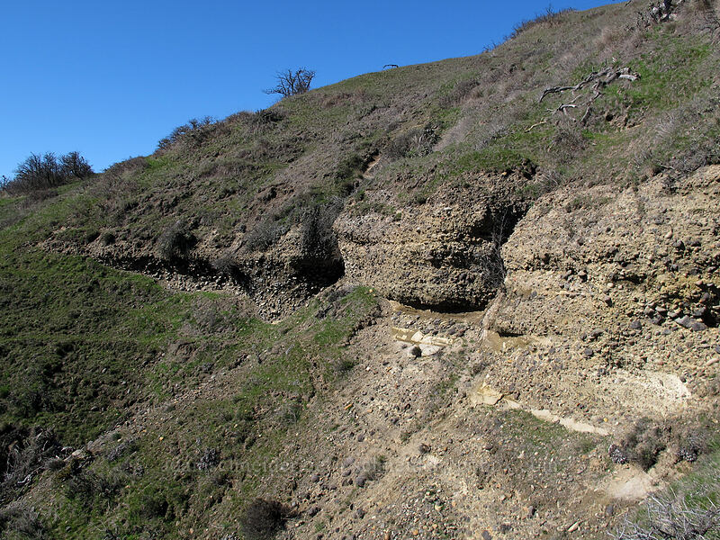 Missoula Flood strata [east of Lyle, Klickitat County, Washington]