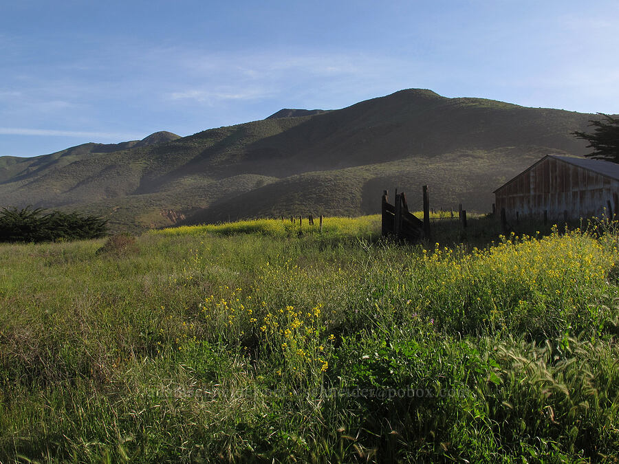 Santa Lucia Range [Soberanes Canyon Trail, Garrapata State Park, Monterey County, California]