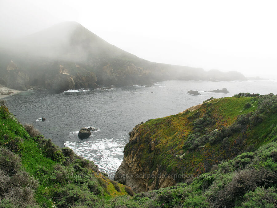 Whale Peak [Soberanes Point, Garrapata State Park, Monterey County, California]