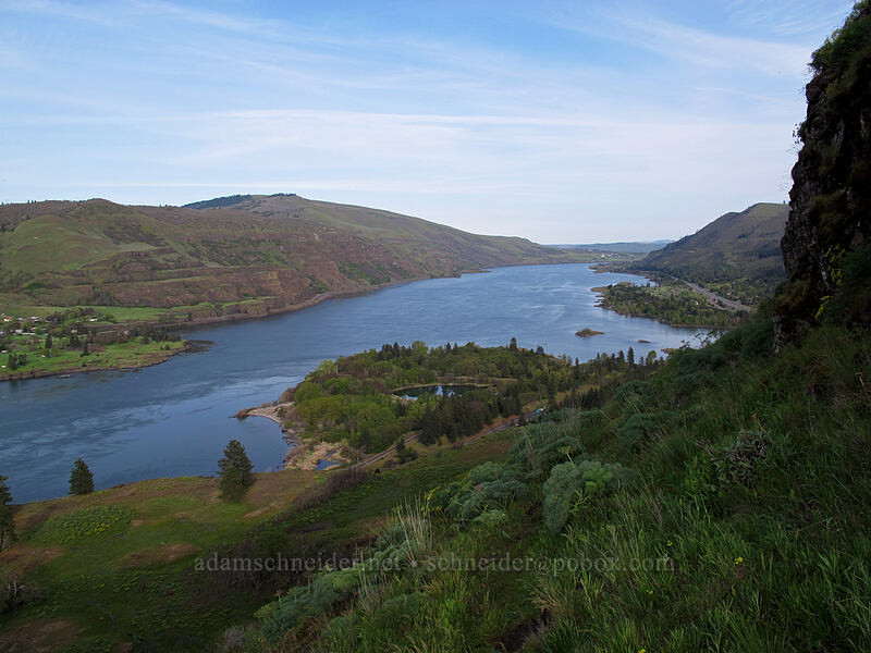 Columbia River [Rowena Plateau Trail, Mayer State Park, Wasco County, Oregon]