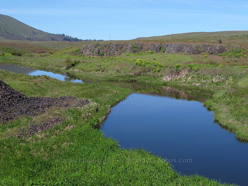 Swale Creek [Klickitat Trail, Klickitat County, Washington]