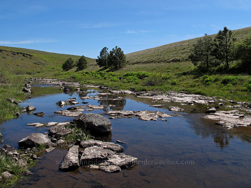 Swale Creek [Klickitat Trail, Klickitat County, Washington]