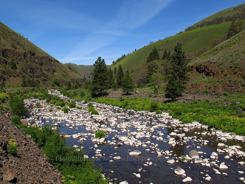 Swale Flats [Swale Canyon, Klickitat County, Washington]