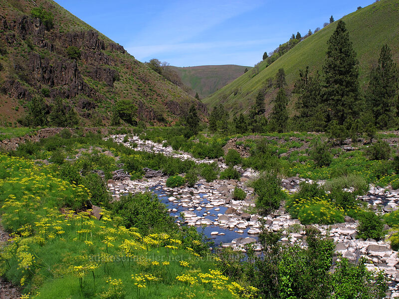 Swale Flats [Swale Canyon, Klickitat County, Washington]