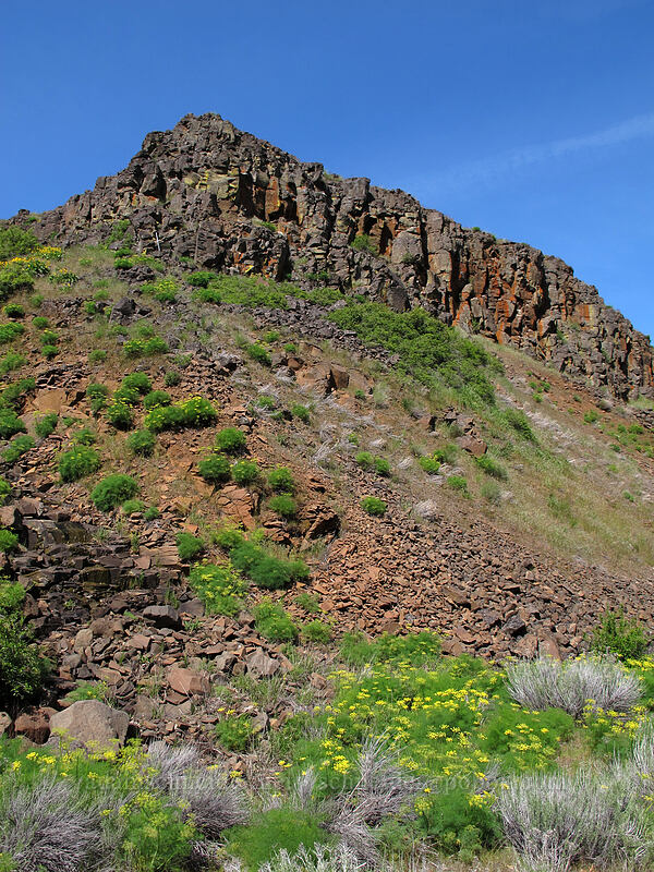 rimrock [Klickitat Trail, Klickitat County, Washington]