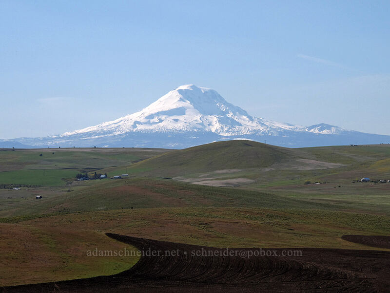 Mt. Adams [Dalles Mountain Road, Klickitat County, Washington]
