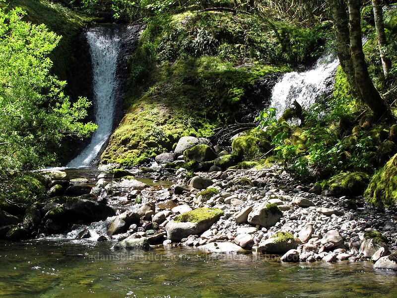 Tenas Falls [Eagle Creek Trail, Columbia River Gorge, Hood River County, Oregon]