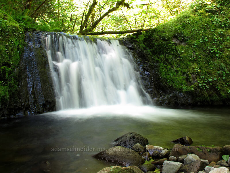 upper part of Tenas Falls [Tenas Falls, Columbia River Gorge, Hood River County, Oregon]