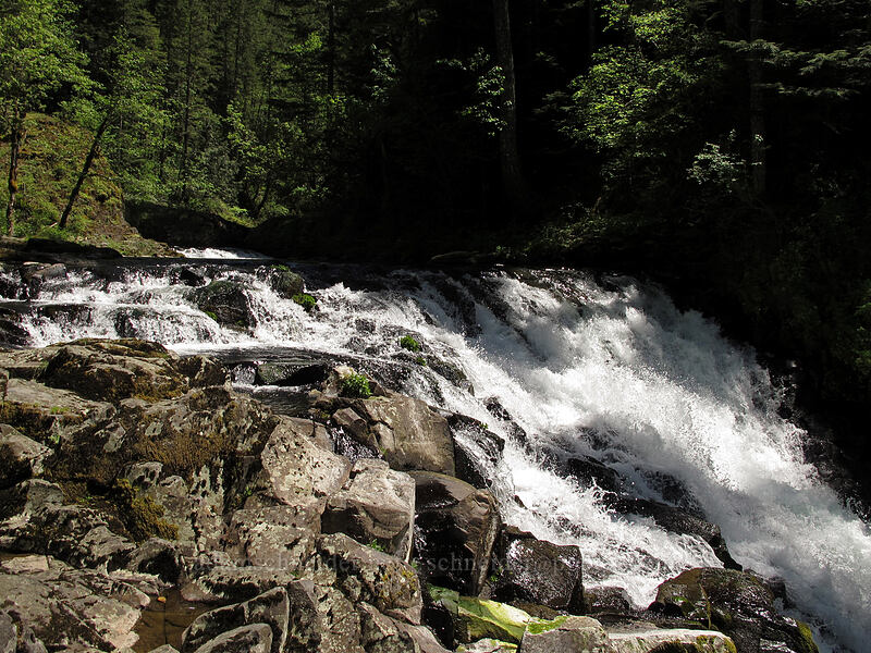 top of Grand Union Falls [Eagle Creek Trail, Columbia River Gorge, Hood River County, Oregon]