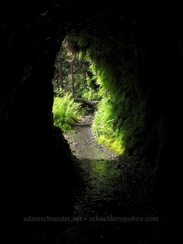 Tunnel Falls' tunnel [Eagle Creek Trail, Columbia River Gorge, Hood River County, Oregon]