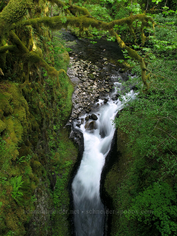 narrow gorge below High Bridge [Eagle Creek Trail, Columbia River Gorge, Hood River County, Oregon]