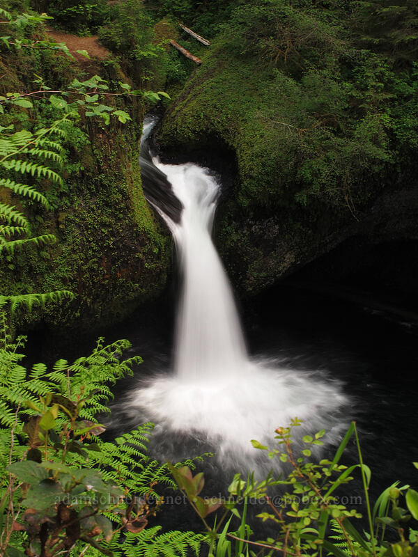 Punchbowl Falls [Eagle Creek Trail, Columbia River Gorge, Hood River County, Oregon]
