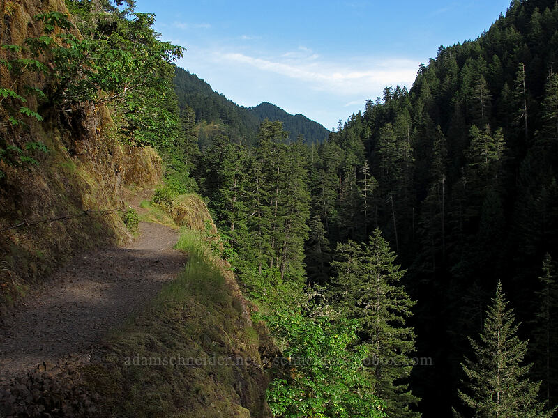 Eagle Creek Canyon [Eagle Creek Trail, Columbia River Gorge, Hood River County, Oregon]