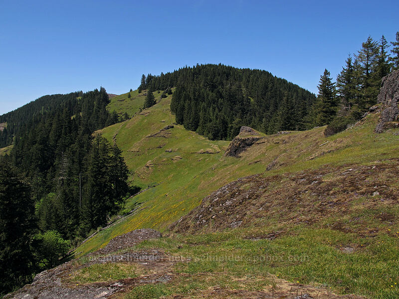 Horse Rock Ridge [Horse Rock Ridge, Linn County, Oregon]