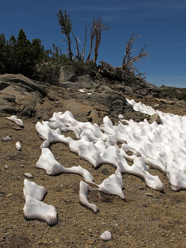 melting snow [Round Top, Mokelumne Wilderness, Alpine County, California]