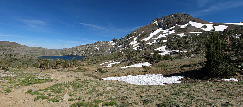 Round Top & Winnemucca Lake panorama [Winnemucca Lake-Round Top Lake Trail, Mokelumne Wilderness, Alpine County, California]